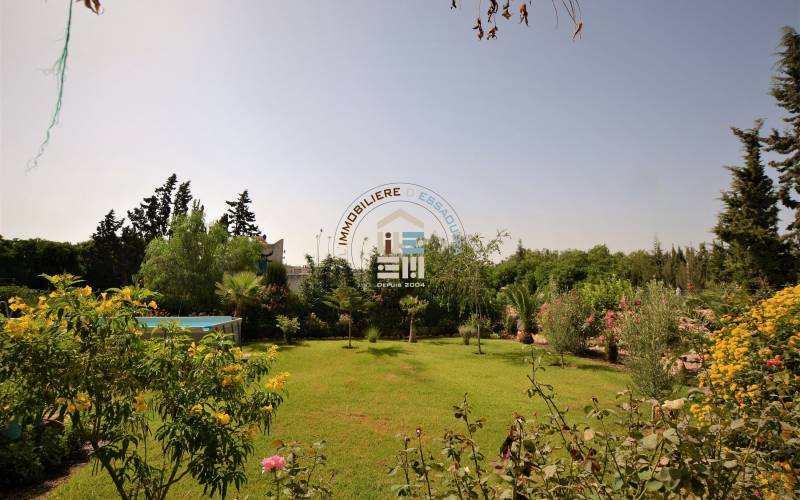 Maison 2 ch LLD - Bouzama (9)